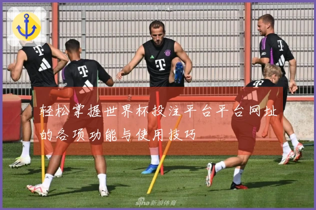 轻松掌握世界杯投注平台平台网址的各项功能与使用技巧